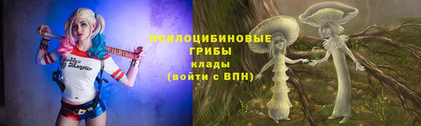 бошки Алексеевка