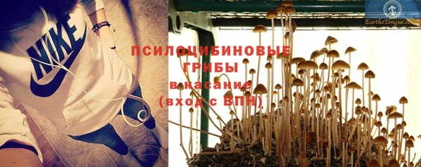 Альфа ПВП Алзамай