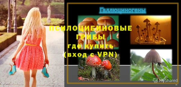 Альфа ПВП Алзамай
