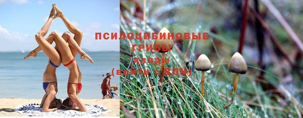 МДПВ Алексин