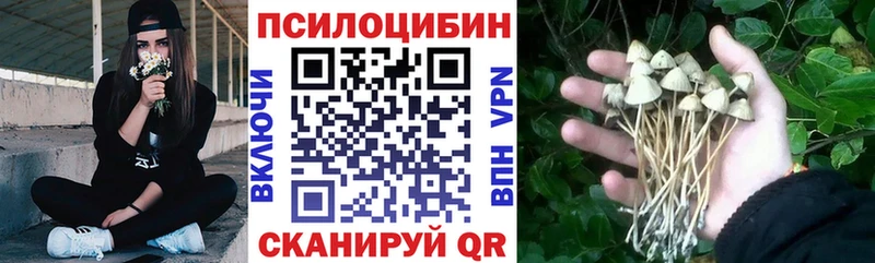 Псилоцибиновые грибы MAGIC MUSHROOMS  Межгорье 